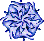 Centaurea